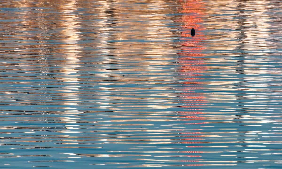Boat mast reflections from St. Aubin's Pier, St. Aubin Harbour