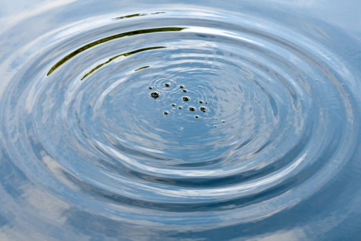 Ripples at La Mazeline Reservoir, St. Catherine's Woods