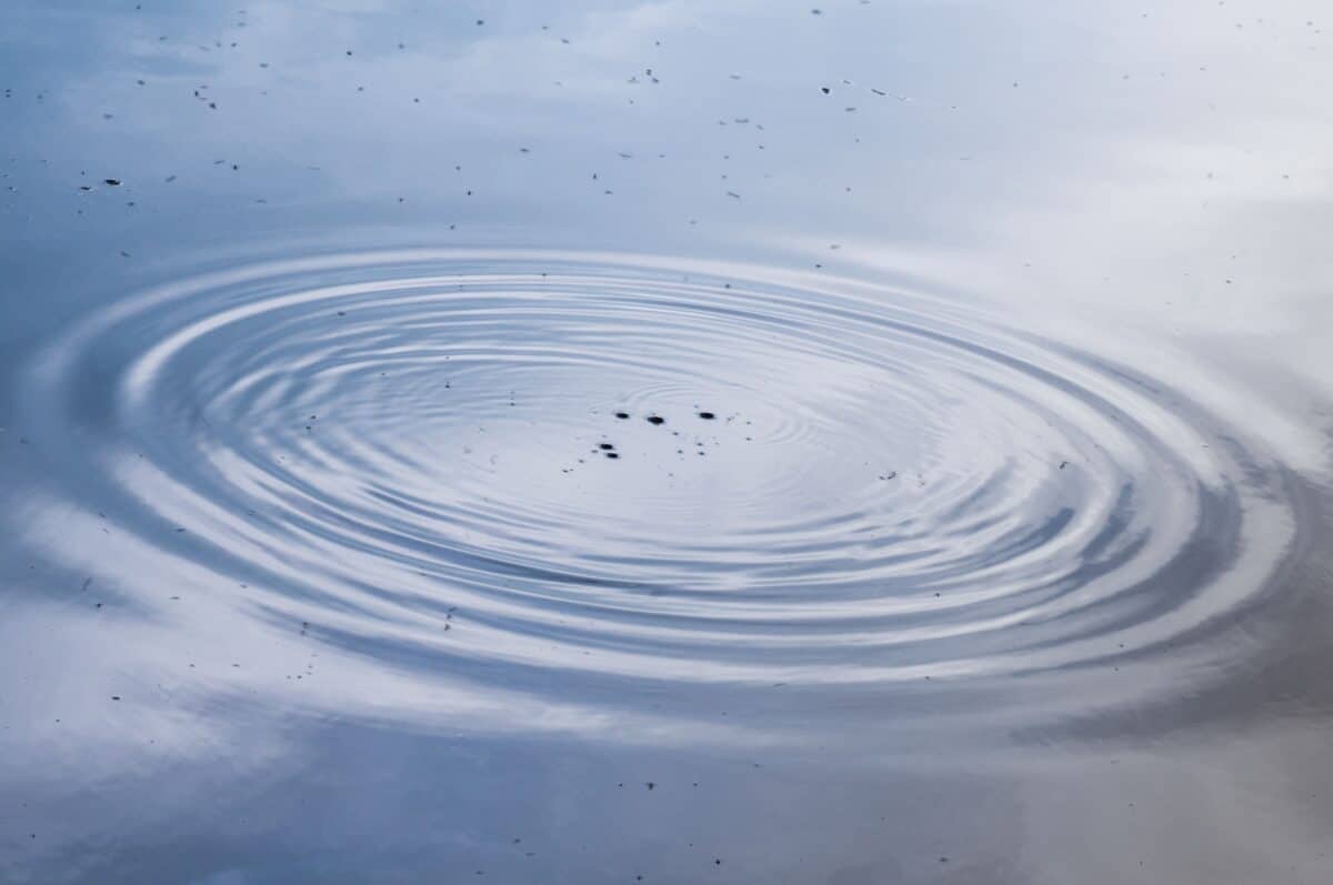 Ripples at La Mazeline Reservoir, St. Catherine's Woods