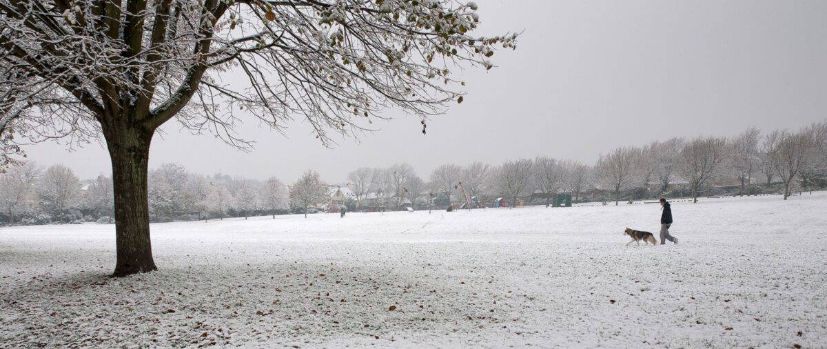 Dog walker in the snow at St. Andrew's Park, St. Helier, Jersey