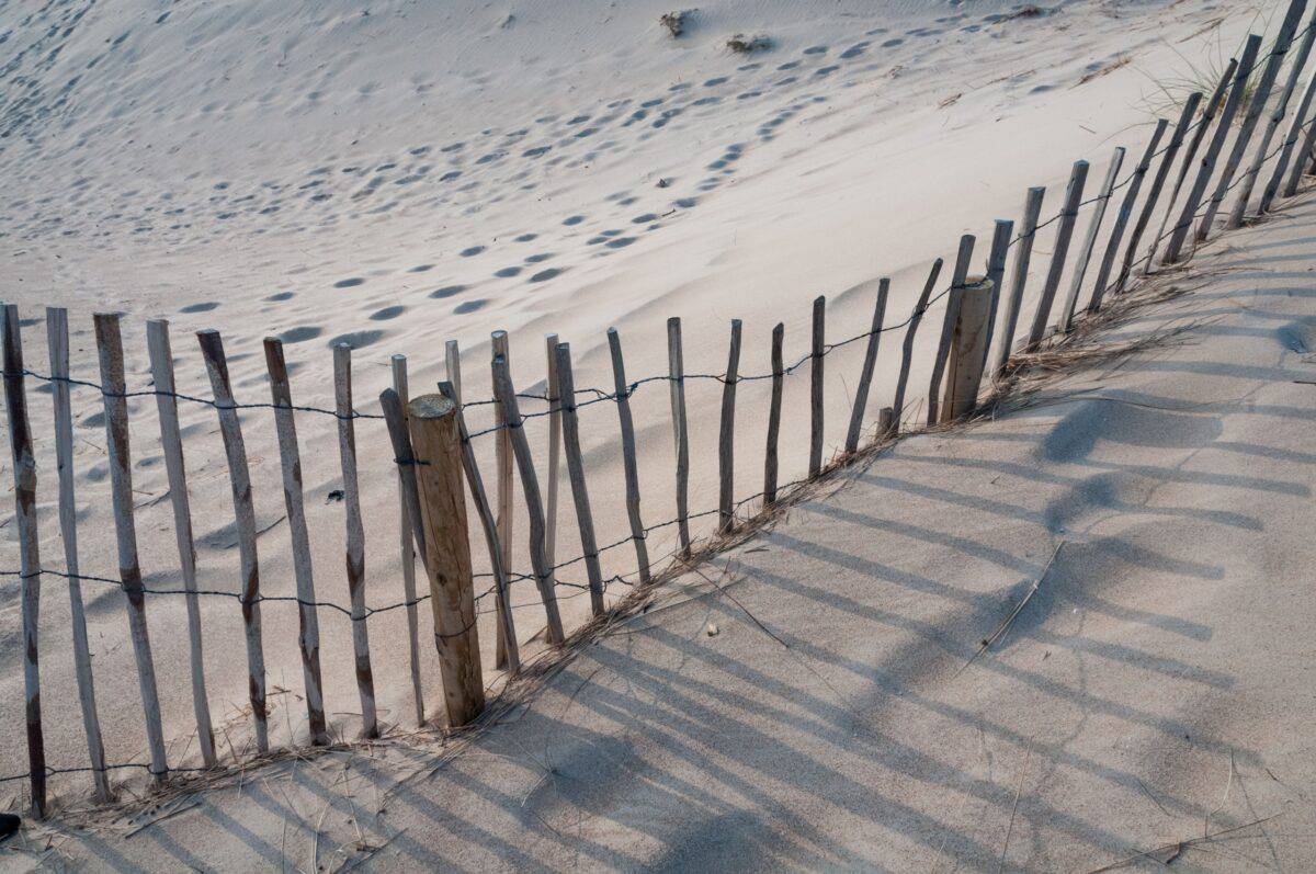 Fences at Les Blanches Banques, (The Sand Dunes), St. Brelade