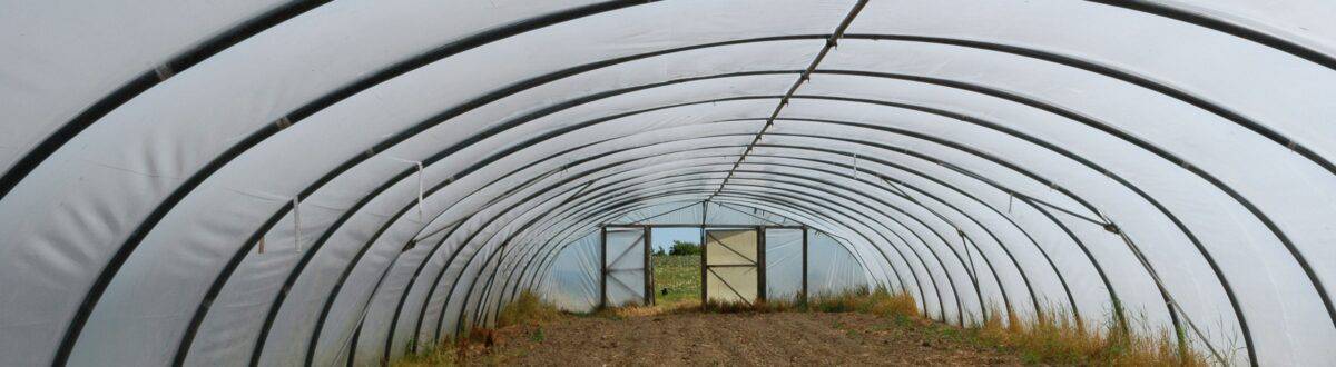Greenhouse roof with interesting repetition, St. Lawrence
