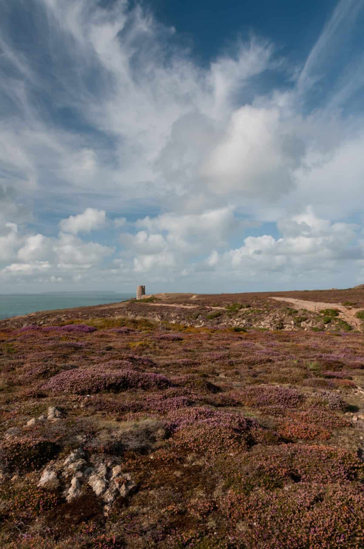 Heather and clouds looking to MP3 Tower at Les Landes, St. Ouen