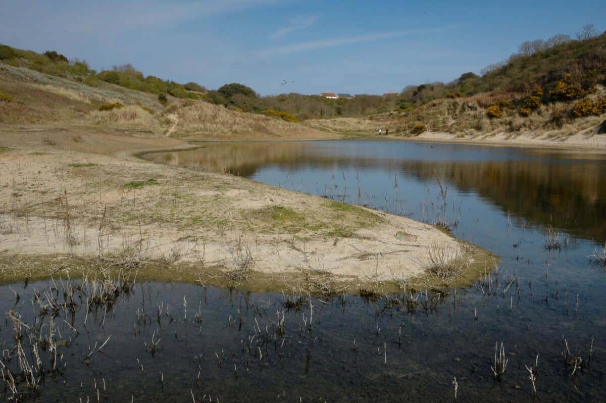 Pond in the sand dunes, Les Blanches Banques (The Sand Dunes)