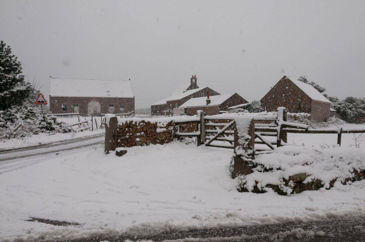 Snow scene at States Farm, Noirmont, St. Brelade, Jersey