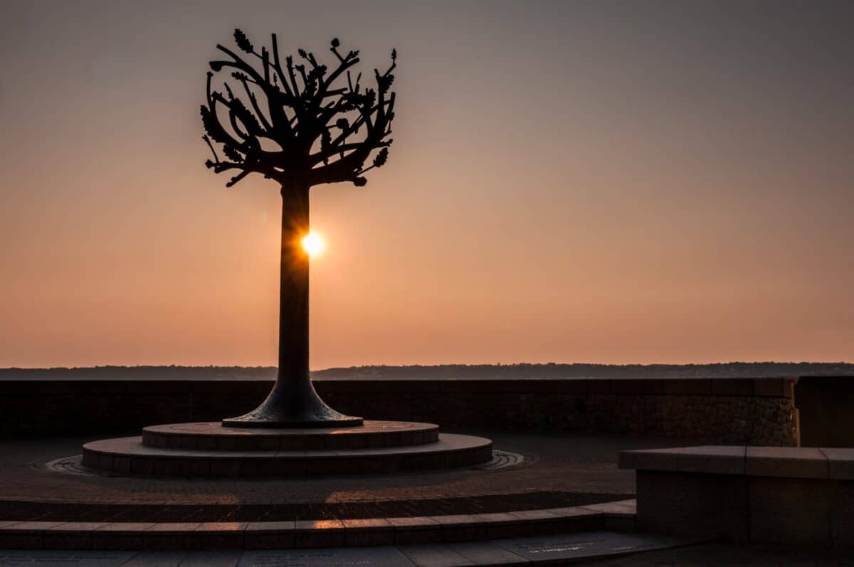 The Freedom Tree at sunset, St. Helier Marina, St. Helier
