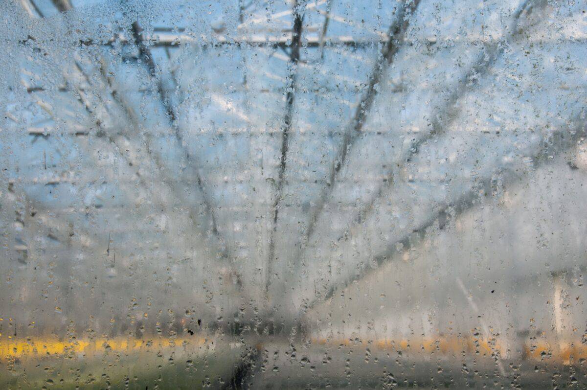 Warm air condensing on the inside of a greenhouse window